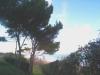 [Pineto: panorama sul mare]